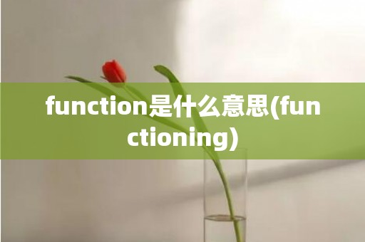 function是什么意思(functioning)