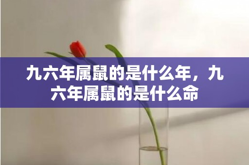 九六年属鼠的是什么年，九六年属鼠的是什么命