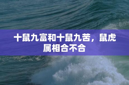 十鼠九富和十鼠九苦，鼠虎属相合不合