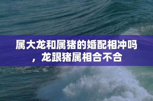 属大龙和属猪的婚配相冲吗，龙跟猪属相合不合