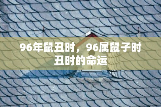 96年鼠丑时，96属鼠子时丑时的命运