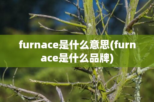 furnace是什么意思(furnace是什么品牌)