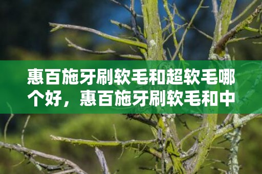 惠百施牙刷软毛和超软毛哪个好，惠百施牙刷软毛和中毛哪个好刷一些