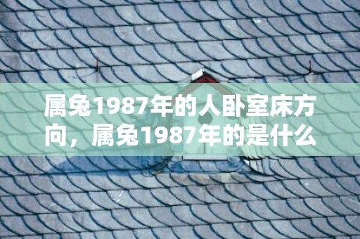 属兔1987年的人卧室床方向，属兔1987年的是什么命