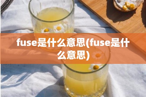 fuse是什么意思(fuse是什么意思)