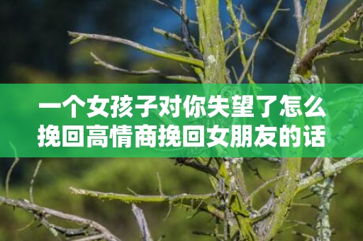 一个女孩子对你失望了怎么挽回高情商挽回女朋友的话
