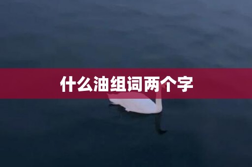 什么油组词两个字