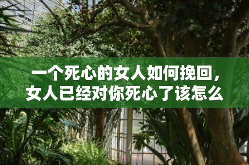 一个死心的女人如何挽回，女人已经对你死心了该怎么办