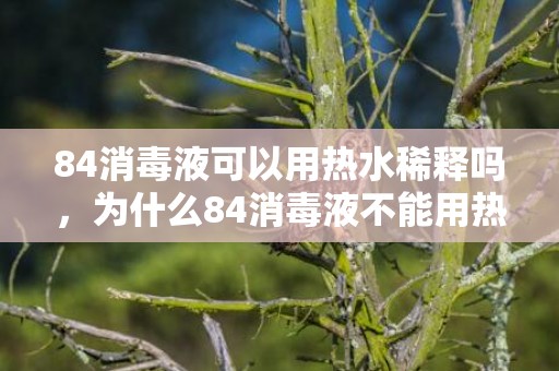 84消毒液可以用热水稀释吗，为什么84消毒液不能用热水稀释