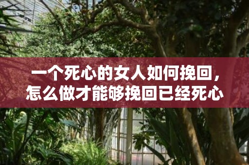 一个死心的女人如何挽回，怎么做才能够挽回已经死心的女人