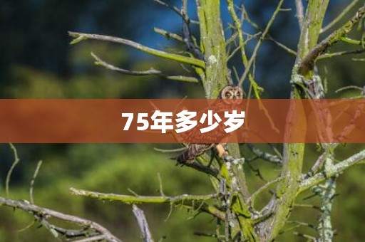 75年多少岁