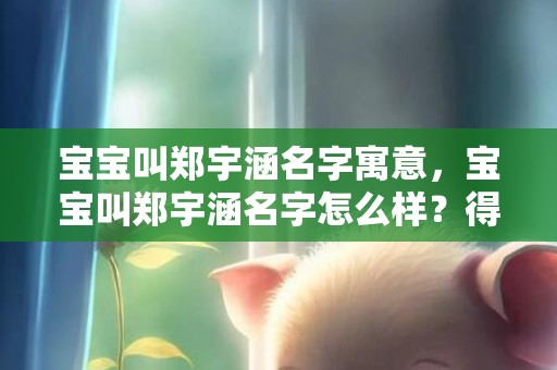 宝宝叫郑宇涵名字寓意，宝宝叫郑宇涵名字怎么样？得分为多少？