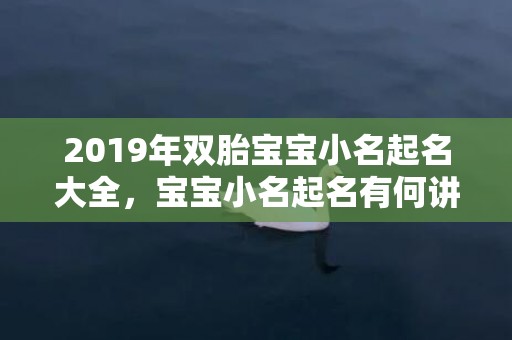 2019年双胎宝宝小名起名大全，宝宝小名起名有何讲究？