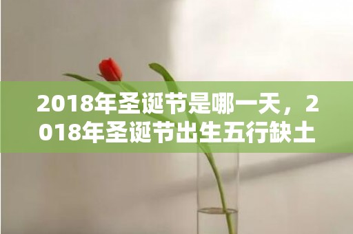 2018年圣诞节是哪一天，2018年圣诞节出生五行缺土的男孩取名推荐