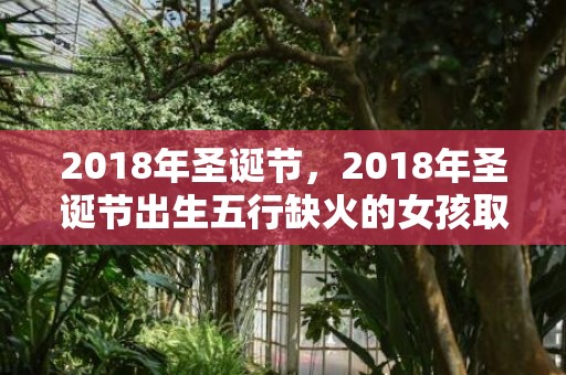 2018年圣诞节，2018年圣诞节出生五行缺火的女孩取名大全