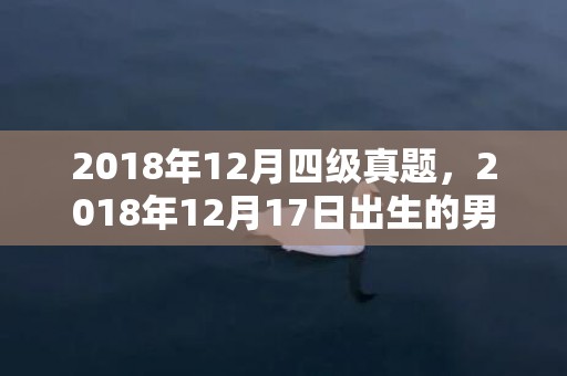 2018年12月四级真题，2018年12月17日出生的男孩用五行怎么取名好听？