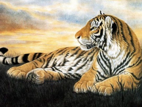 1995猪男2000龙女配吗，1995猪男2000龙女配吗