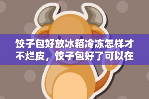 饺子包好放冰箱冷冻怎样才不烂皮，饺子包好了可以在外面放多久
