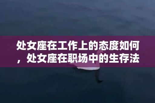 处女座在工作上的态度如何，处女座在职场中的生存法则
