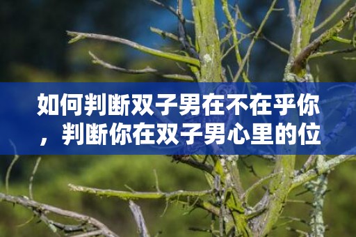 如何判断双子男在不在乎你，判断你在双子男心里的位置,这七个表现你发现多少
