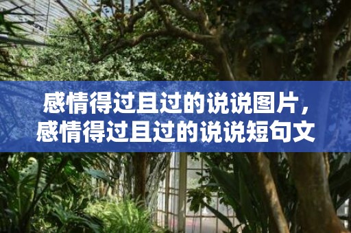 感情得过且过的说说图片，感情得过且过的说说短句文案 人生得过且过的说说