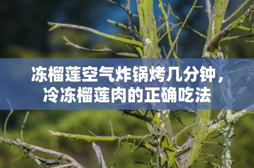 冻榴莲空气炸锅烤几分钟，冷冻榴莲肉的正确吃法