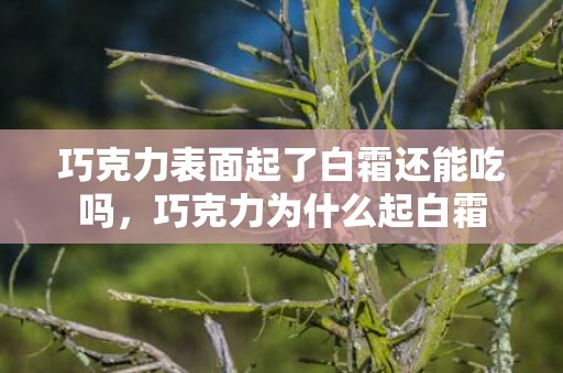 巧克力表面起了白霜还能吃吗，巧克力为什么起白霜
