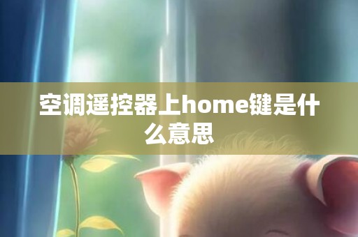 空调遥控器上home键是什么意思