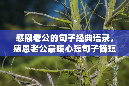 感恩老公的句子经典语录，感恩老公最暖心短句子简短一点 感谢老公的话简短暖心