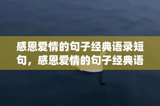 感恩爱情的句子经典语录短句，感恩爱情的句子经典语录简短(感恩一路有你经典语录)