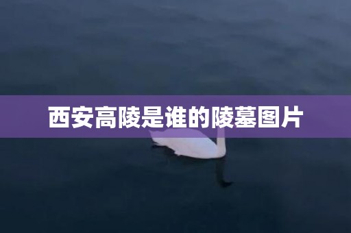 西安高陵是谁的陵墓图片
