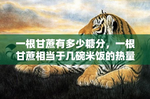 一根甘蔗有多少糖分，一根甘蔗相当于几碗米饭的热量