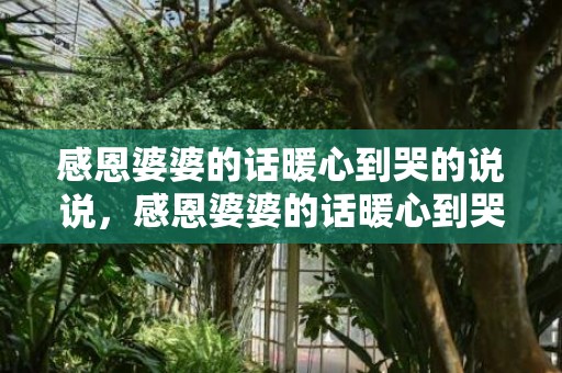 感恩婆婆的话暖心到哭的说说，感恩婆婆的话暖心到哭散文怎么写 感恩婆婆的幽默的句子