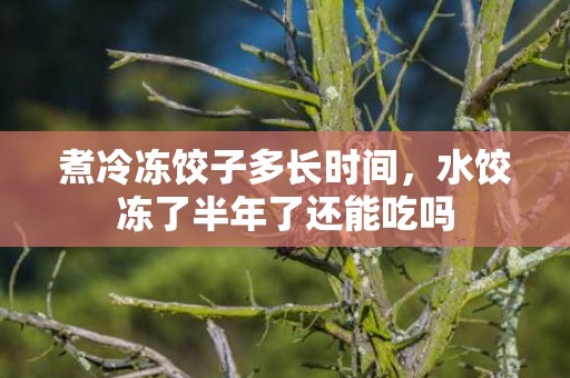 煮冷冻饺子多长时间，水饺冻了半年了还能吃吗