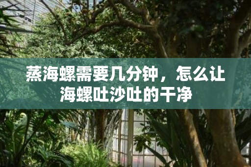 蒸海螺需要几分钟，怎么让海螺吐沙吐的干净