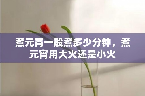 煮元宵一般煮多少分钟，煮元宵用大火还是小火