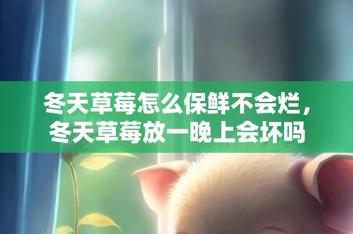 冬天草莓怎么保鲜不会烂，冬天草莓放一晚上会坏吗