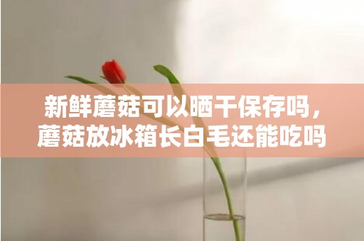 新鲜蘑菇可以晒干保存吗，蘑菇放冰箱长白毛还能吃吗