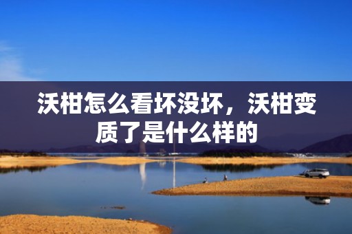 沃柑怎么看坏没坏，沃柑变质了是什么样的