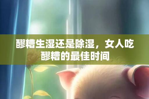 醪糟生湿还是除湿，女人吃醪糟的最佳时间