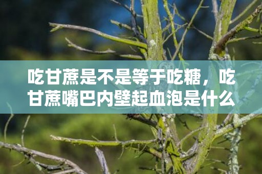 吃甘蔗是不是等于吃糖，吃甘蔗嘴巴内壁起血泡是什么原因