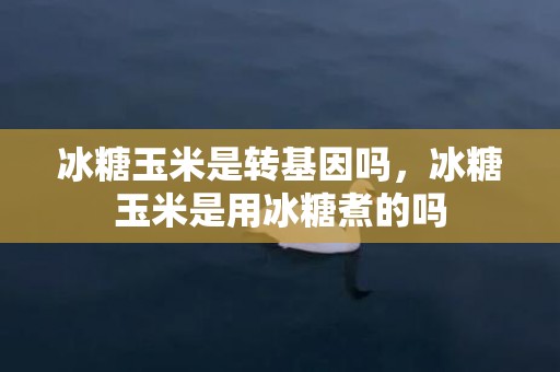 冰糖玉米是转基因吗，冰糖玉米是用冰糖煮的吗