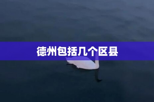 德州包括几个区县