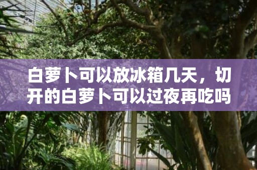白萝卜可以放冰箱几天，切开的白萝卜可以过夜再吃吗