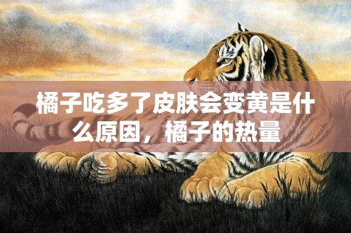 橘子吃多了皮肤会变黄是什么原因，橘子的热量