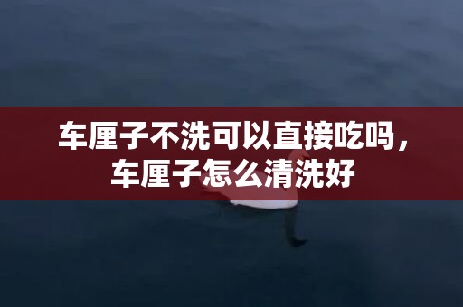 车厘子不洗可以直接吃吗，车厘子怎么清洗好