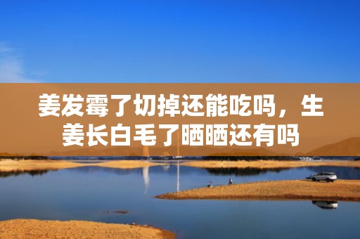 姜发霉了切掉还能吃吗，生姜长白毛了晒晒还有吗