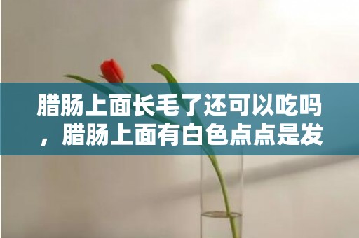 腊肠上面长毛了还可以吃吗，腊肠上面有白色点点是发霉吗