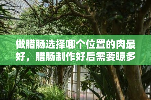 做腊肠选择哪个位置的肉最好，腊肠制作好后需要晾多长时间