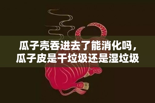 瓜子壳吞进去了能消化吗，瓜子皮是干垃圾还是湿垃圾啊